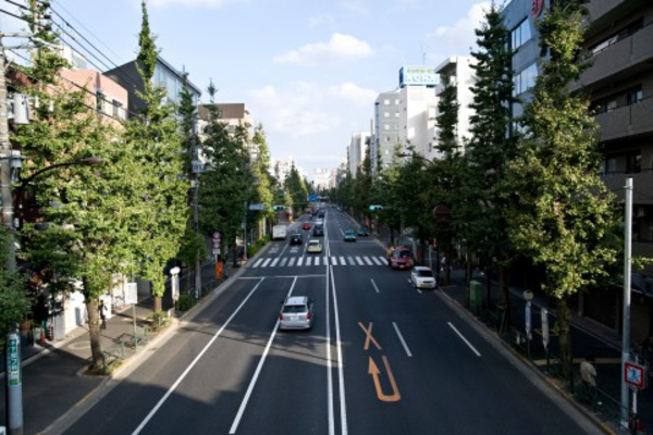 �����ԕی��B�c�ƁE���ƗA�����Ă���ЗL�ԂȂǎ��Ɨp�����ԂɊւ��ΐl�E�Ε��������X�N�A�ԗ����Q�C����p�A����҂̎��Ô�p�Ȃǂ�⏞����ی��B