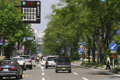 �@�l�_�񎩓��ԕی�